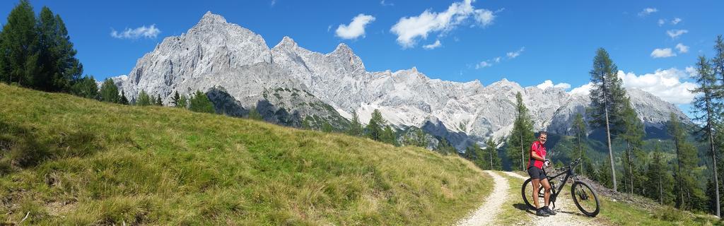 Haus Dachstein Schnitzer Otel Eben Im Pongau Dış mekan fotoğraf
